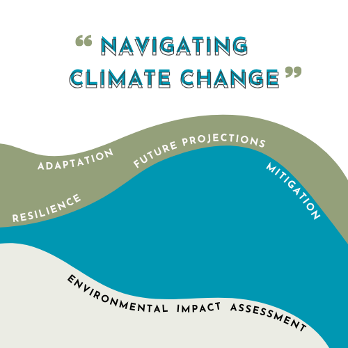 climate change adaptation, mitigation and resilience